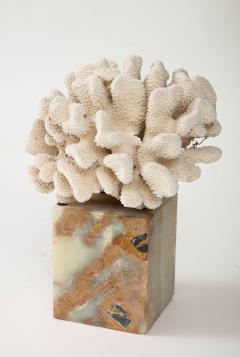 White Coral Sculpture on Marble Base - 3424915