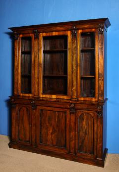 William IV Rosewood Bookcase - 3936803