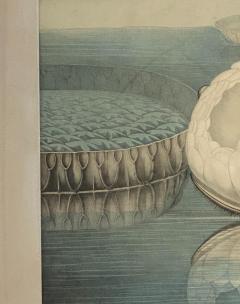 William Sharp 19th Century William Sharp Water Lily Color Lithograph - 2037334