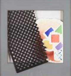 William Tillyer The Half Vase Arrangement in le Chambre Noir from The Interventions Series 2 - 3290489