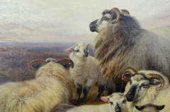 William Watson Victorian Oil On Canvas Of Sheep By William Watson - 2565731