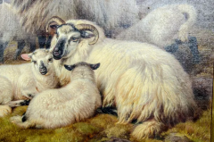 William Watson Victorian Oil On Canvas Of Sheep By William Watson - 2565732
