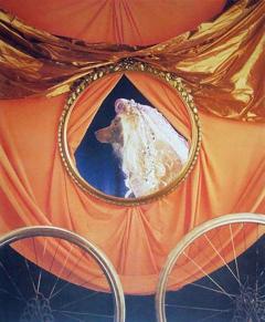 William Wegman Coach from the Cinderella Portfolio - 4565345