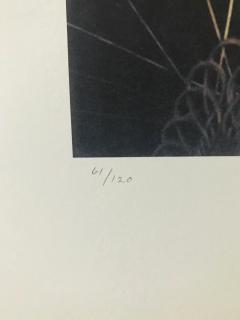 William Wegman Coach from the Cinderella Portfolio - 4565346