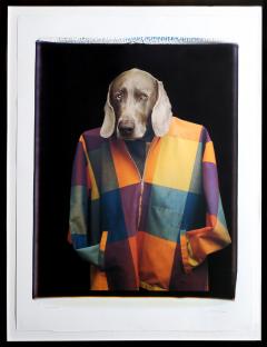 William Wegman Male Model - 295778