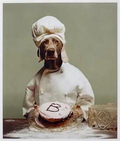 William Wegman William Wegman B is for Baker Limited Edition Photograph COA Signed Numbered - 2890759