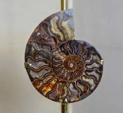 Willy Daro Pair of lamps - 726589
