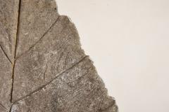 Willy Guhl Large Concrete Leaf in the style of Willy Guhl - 4278001