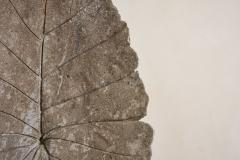 Willy Guhl Large Concrete Leaf in the style of Willy Guhl - 4278002