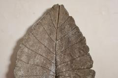 Willy Guhl Large Concrete Leaf in the style of Willy Guhl - 4278004