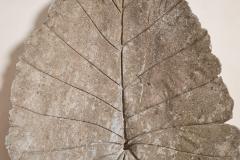 Willy Guhl Large Concrete Leaf in the style of Willy Guhl - 4278025