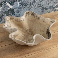 Willy Guhl Midcentury Swiss Willy Guhl Clam Shell Planter - 4744449