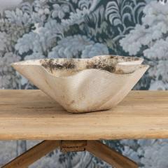Willy Guhl Midcentury Swiss Willy Guhl Clam Shell Planter - 4744450
