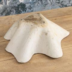 Willy Guhl Midcentury Swiss Willy Guhl Clam Shell Planter - 4744453