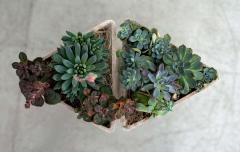 Willy Guhl WILLY GUHL GEOMETRIC PLANTER - 1578267