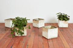 Willy Guhl WILLY GUHL SQUARE SQUARE PLANTERS - 3136171