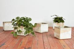 Willy Guhl WILLY GUHL SQUARE SQUARE PLANTERS - 3136173