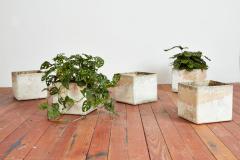 Willy Guhl WILLY GUHL SQUARE SQUARE PLANTERS - 3136256