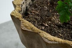 Willy Guhl Willy Guhl Monumental Chalice Style Concrete Planter 1960s - 4396231