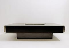 Willy Rizzo Alveo Coffee Table by Willy Rizzo for Mario Sabot - 3053389