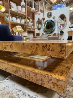 Willy Rizzo Willy Rizzo Mid Century Burl Wood Coffee Table - 4610619