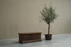Wonderful Early 18th Century Chest in Oak and Wrought Iron - 4582102