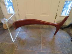 Wonderful Lucite Sculptural Walnut Coffee Table Midcentury - 1534552