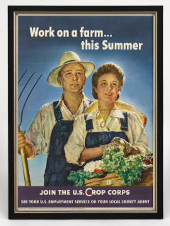 Work on a farm this Summer Join the U S Crop Corps Vintage WWII - 4123722
