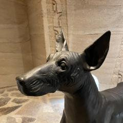 XOLO Hairless Dog Bronze Sculpture master sculptor Guillermo Castano Mexico 2008 - 2090901