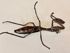 Yasunosuke VI Ryubundo Large Japanese Articulate Bronze Praying Mantis Jizai Yasunosuke Ryubundo VI - 4532972