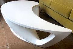 boomerang shaped organic coffee table - 1004352