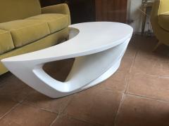 boomerang shaped organic coffee table - 1004355