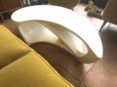 boomerang shaped organic coffee table - 1004356