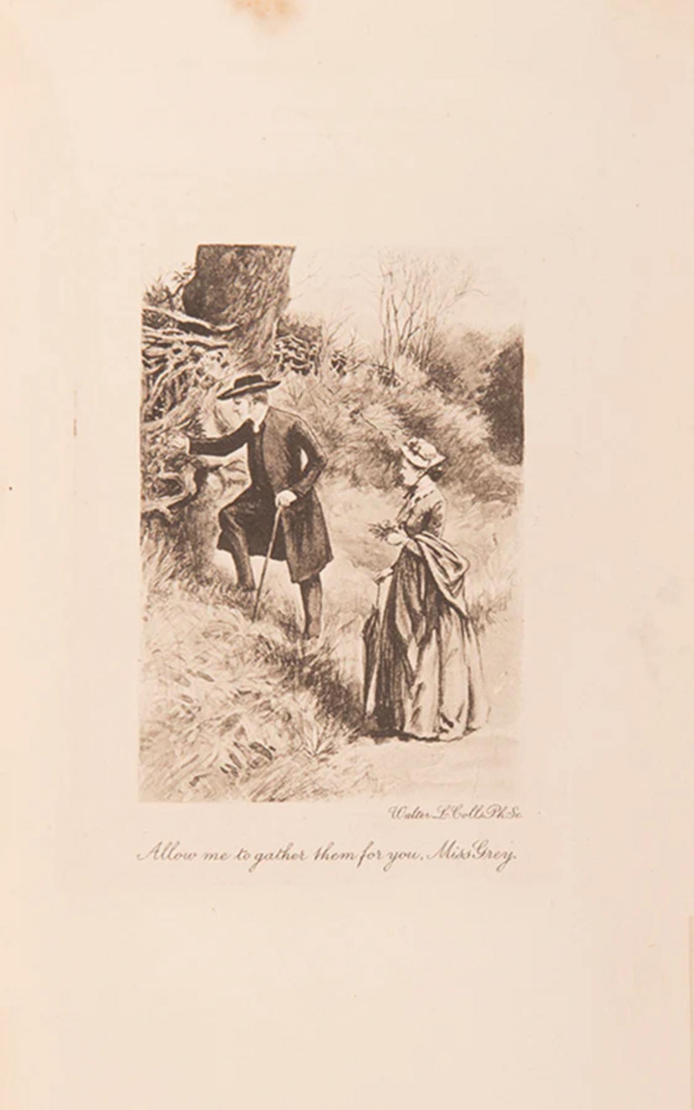 The Brontë Sisters - The Works of Charlotte, Emily and Anne Brontë. by ...