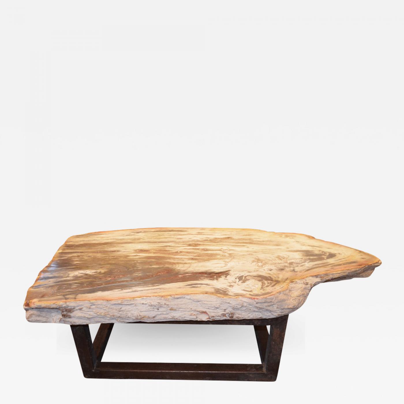 Custom Petrified Wood Coffee Table 