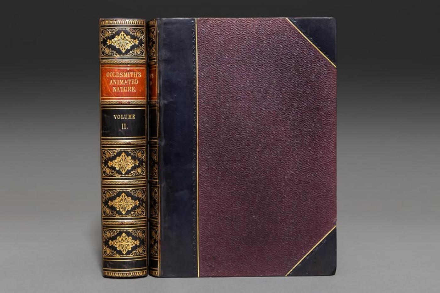 'Book Set' 2 Volumes, Oliver Goldsmith, A History of the Earth ...