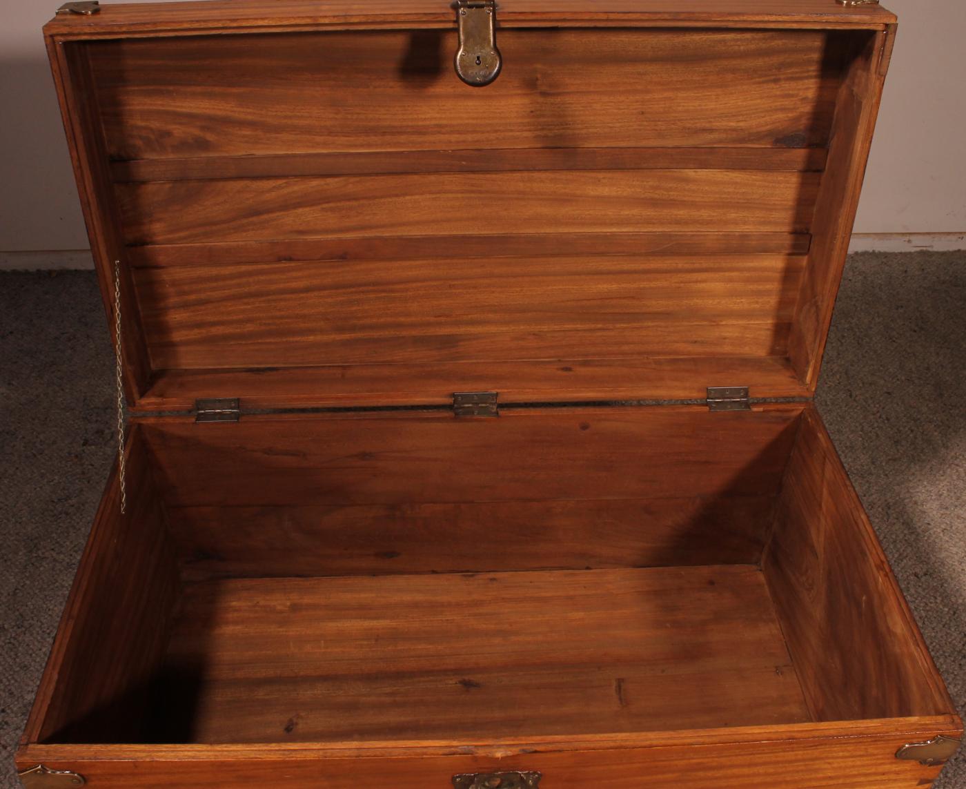 Campaign Chest In Camphor Camphor Wood