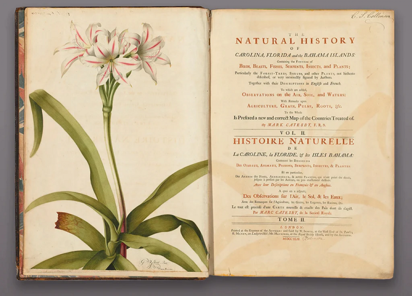 Mark Catesby - THE NATURAL HISTORY OF CAROLINA, FLORIDA, AND THE BAHAMA ...