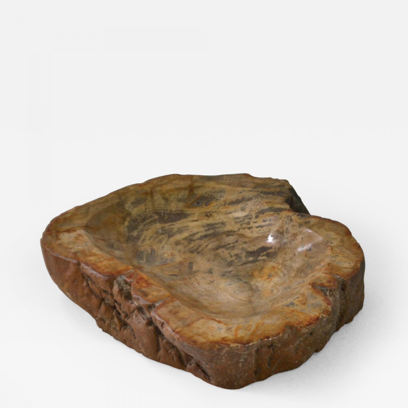 Mid-Century Organic Petrified Wood Bowl or Tray