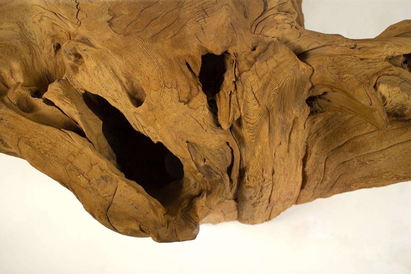 Modern Cypress Tree Trunk Coffee Table 1970s Sandblasted Organic