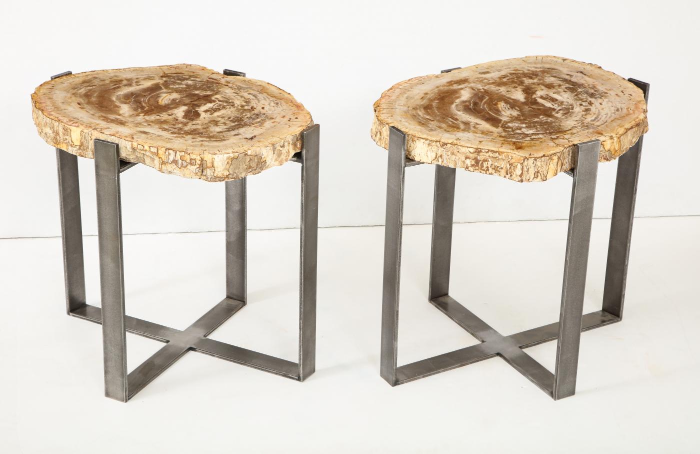 Pair of Petrified Wood Side Tables.