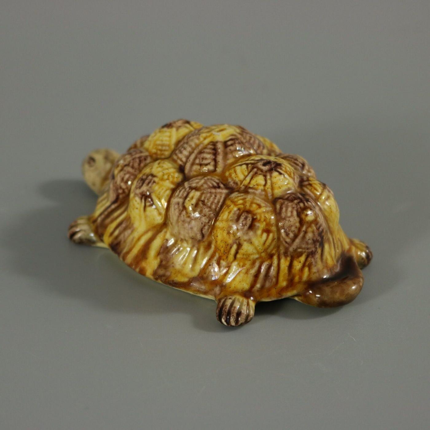 Palissy Ware / Palissy Majolica - Portuguese Palissy Majolica Tortoise ...