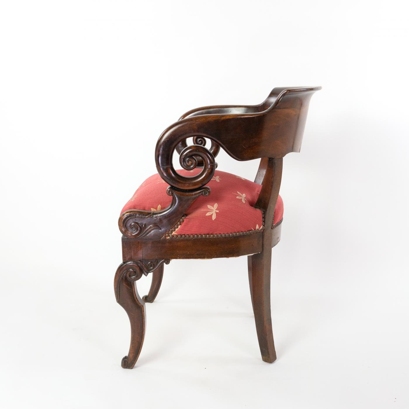 Restoration Period Barrel Back Desk Chair In Cuban Mahogany, French Circa 1820.
