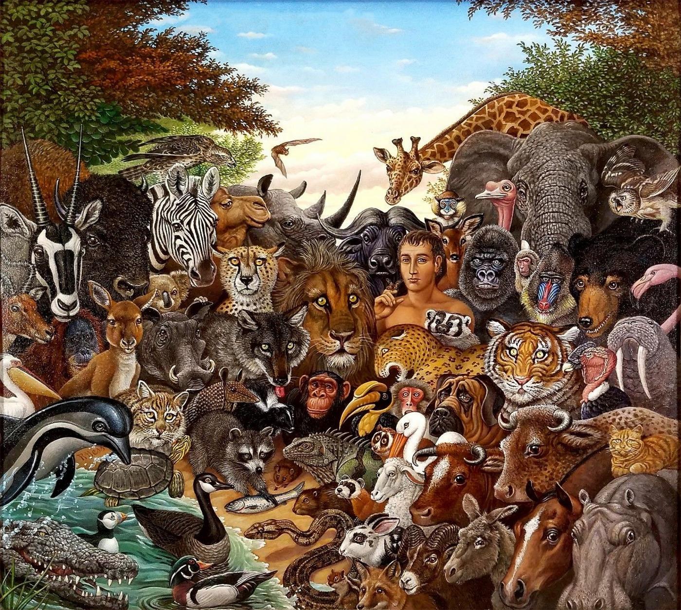 Richard Hess - Animal Kingdom, Zebra, Buffalo, Lion, Giraffe, Elephant,  Monkey, Tiger, Gorilla