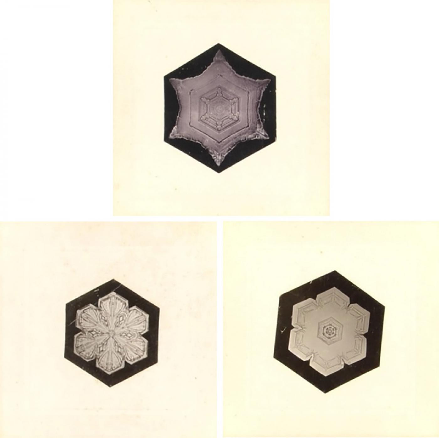 Webb Mirror Paper Snowflake Activity