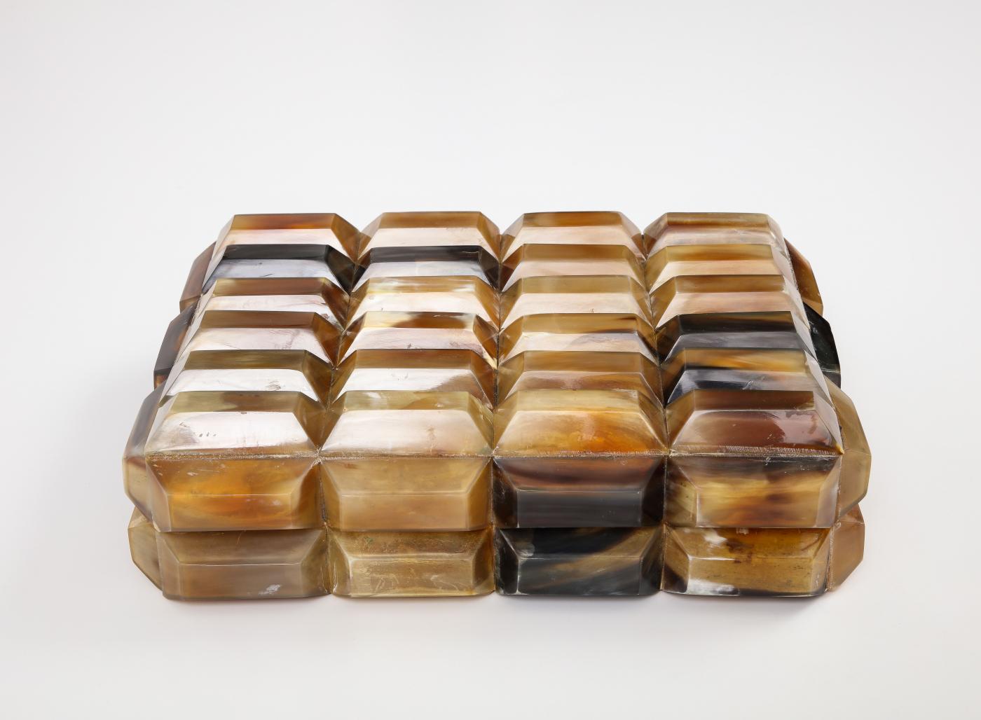 XL Polished Horn Rectangular Segment Box