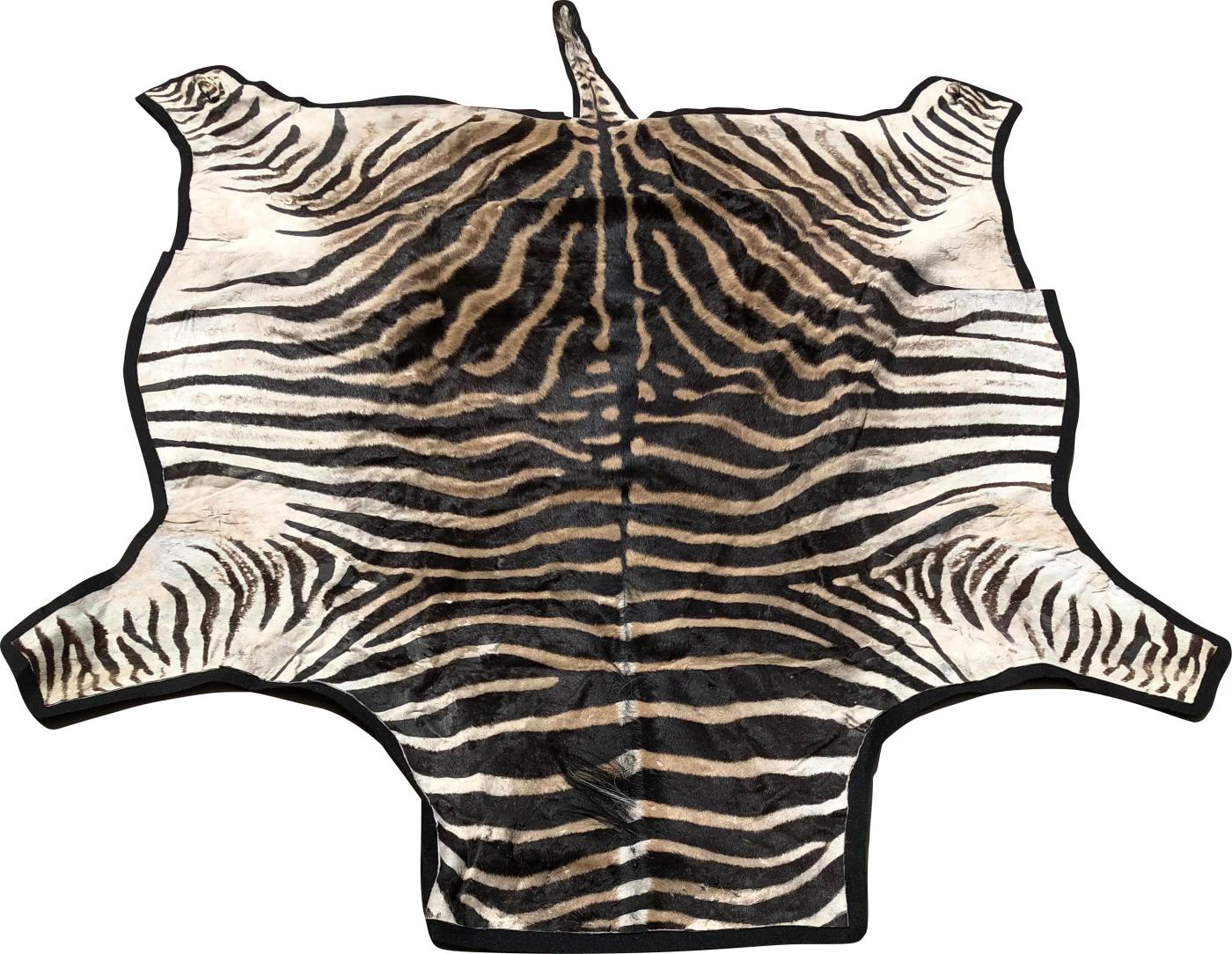 Zebra skin rug felt backed